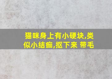 猫咪身上有小硬块,类似小结痂,抠下来 带毛